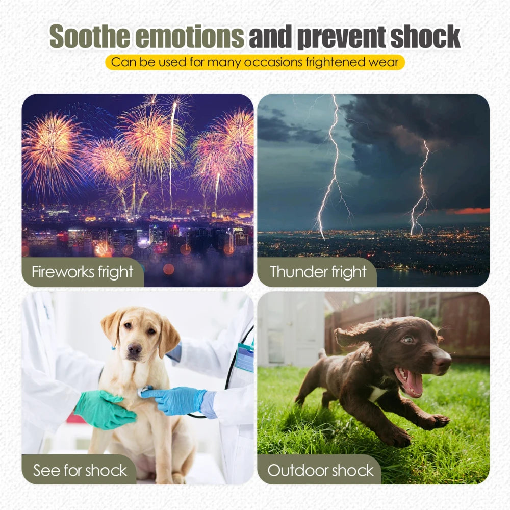 Dog Anxiety Calming Vest