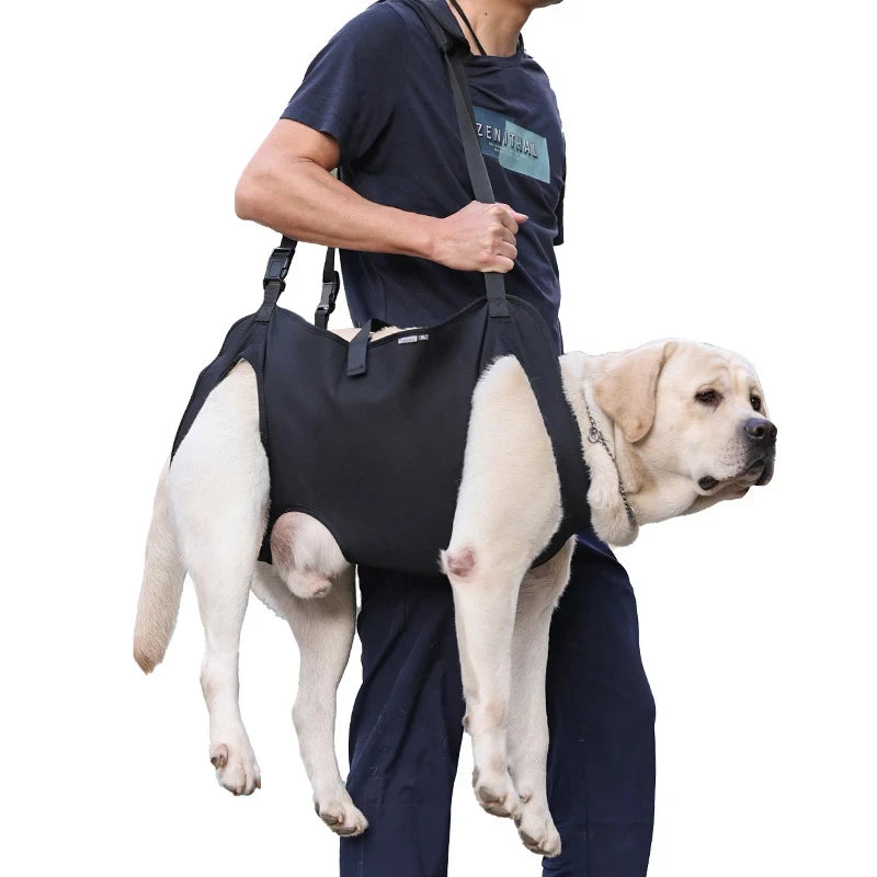 Padded Dog Support Harness
