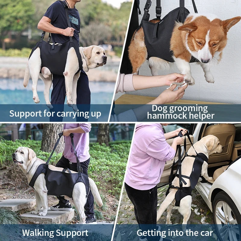 Padded Dog Support Harness