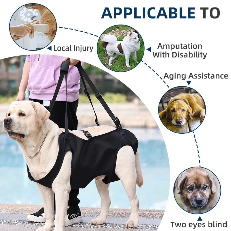 Padded Dog Support Harness