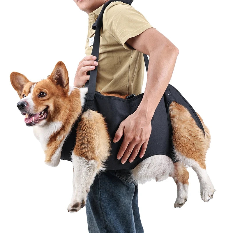 Padded Dog Support Harness