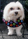 Puppy Bumper Fence Safety Collar