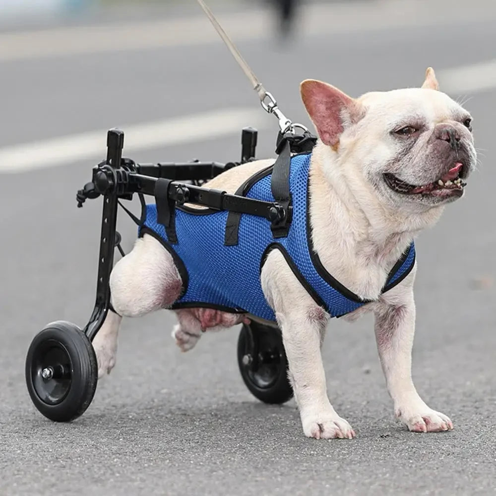 Adjustable Pet Mobility Wheelchair