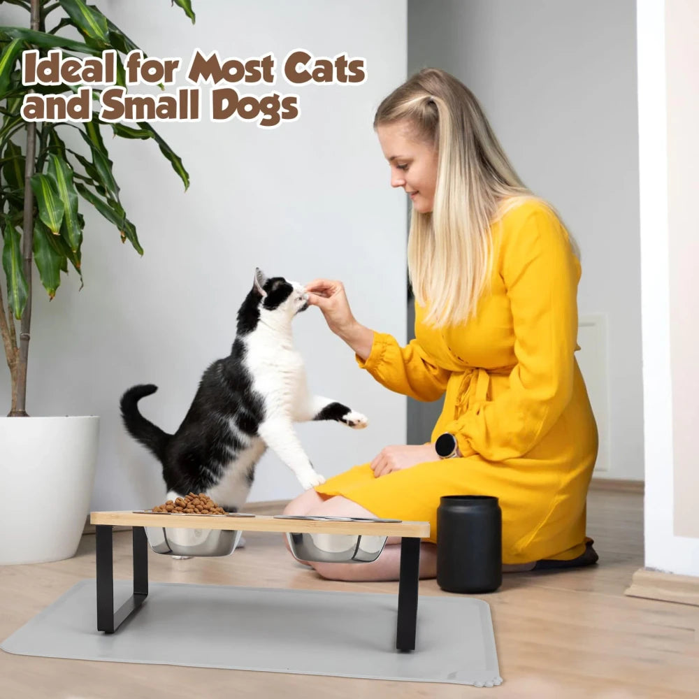 Tilted Wooden Pet Feeder
