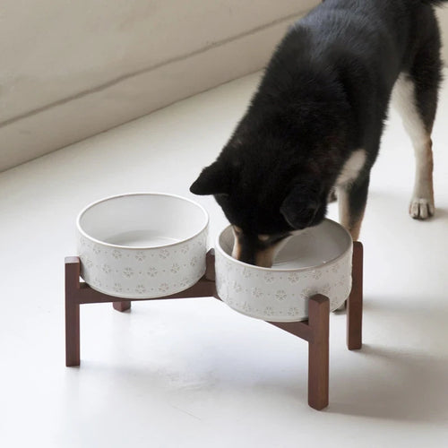 Elevated Ceramic Pet Bowl Set